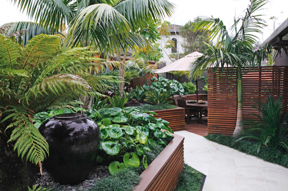 Ornamental Grass design and Installation Service Allen TX