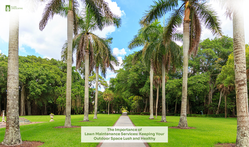 lawn care in Allen, TX