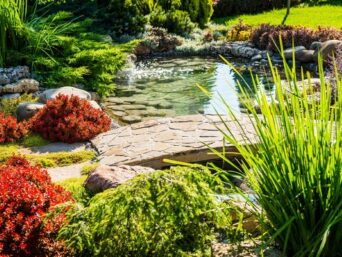 landscape with water feature